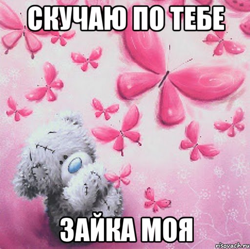 скучаю по тебе зайка моя, Мем Скучаю