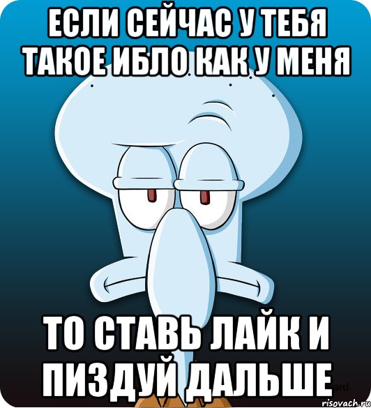 если сейчас у тебя такое ибло как у меня то ставь лайк и пиздуй дальше, Мем Сквидвард