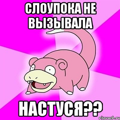 Слоупока не вызывала Настуся??, Мем слоупок