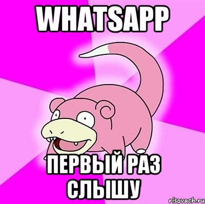 WhatsApp Первый раз слышу, Мем слоупок