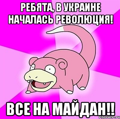 Ребята, в Украине началась революция! Все на майдан!!, Мем слоупок