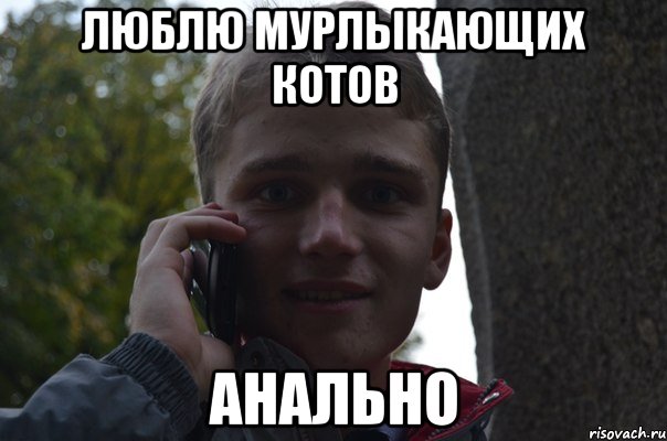 люблю мурлыкающих котов анально