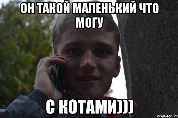 он такой маленький что могу с котами)))