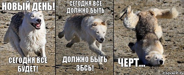 Новый день! сегодня все будет! Сегодня все должно быть должно быть збсь! черт..., Комикс собака объебака