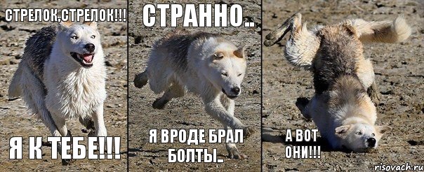 стрелок,стрелок!!! я к тебе!!! странно.. я вроде брал болты.. а вот они!!!, Комикс собака объебака