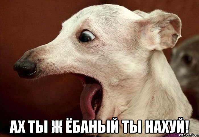  Ах ты ж ёбаный ты нахуй!