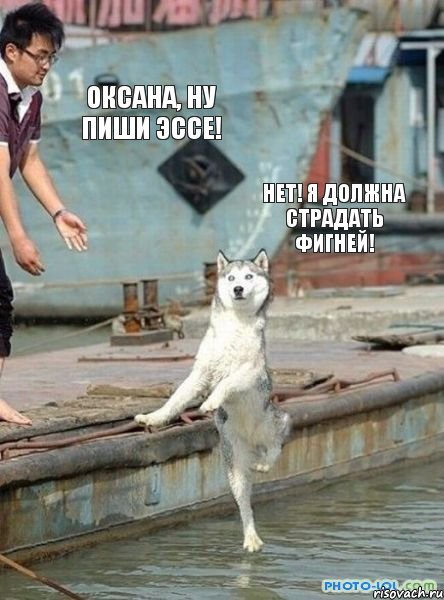 Оксана, ну пиши эссе! Нет! Я должна страдать фигней!