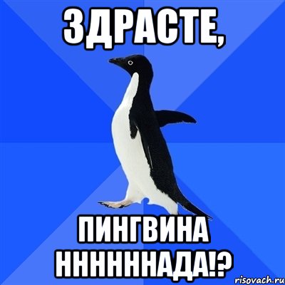 Здрасте, Пингвина ннннннада!?, Мем  Социально-неуклюжий пингвин