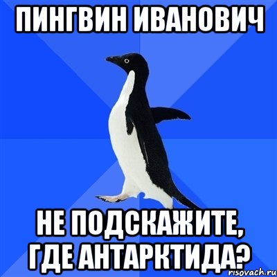 Пингвин Иванович Не подскажите, где Антарктида?, Мем  Социально-неуклюжий пингвин