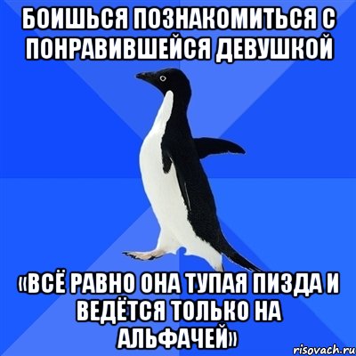 боишься познакомиться с понравившейся девушкой «всё равно она тупая пизда и ведётся только на альфачей», Мем  Социально-неуклюжий пингвин
