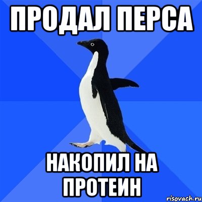 Продал перса Накопил на протеин, Мем  Социально-неуклюжий пингвин