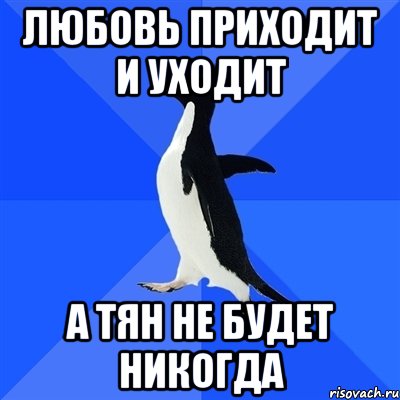 любовь приходит и уходит а тян не будет никогда, Мем  Социально-неуклюжий пингвин