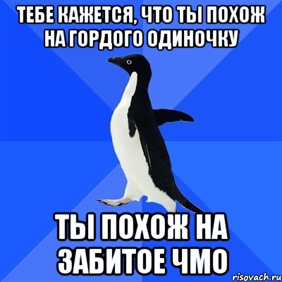 тебе кажется, что ты похож на гордого одиночку ты похож на забитое чмо, Мем  Социально-неуклюжий пингвин