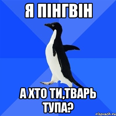 я пінгвін а хто ти,тварь тупа?, Мем  Социально-неуклюжий пингвин