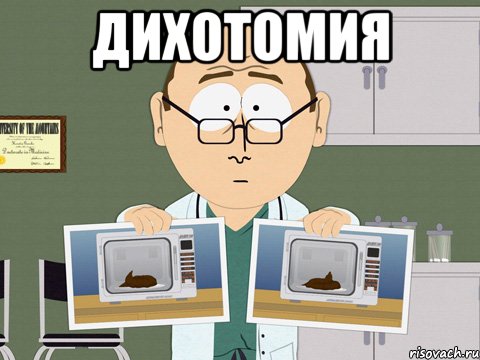 ДИХОТОМИЯ 