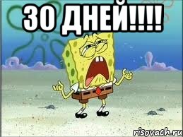 30 дней!!!! , Мем Спанч Боб плачет