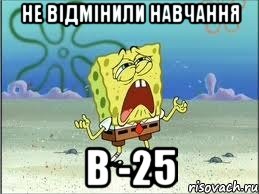 Не відмінили навчання в -25, Мем Спанч Боб плачет