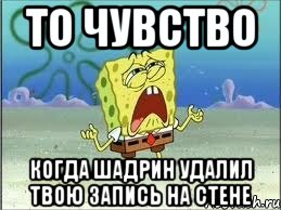 ТО ЧУВСТВО КОГДА ШАДРИН УДАЛИЛ ТВОЮ ЗАПИСЬ НА СТЕНЕ, Мем Спанч Боб плачет