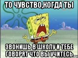 то чувство,когда ты звонишь в школу и тебе говорят что вы учитесь, Мем Спанч Боб плачет