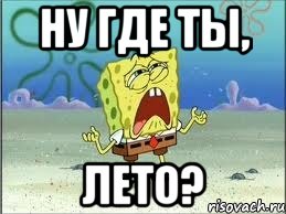 Ну где ты, лето?, Мем Спанч Боб плачет