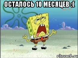 Осталось 10 месяцев :( , Мем Спанч Боб плачет