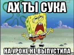 ах ты сука на уроке не выпустила, Мем Спанч Боб плачет