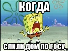 Когда слили дом по госу, Мем Спанч Боб плачет