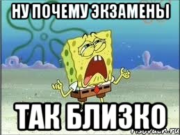 ну почему экзамены так близко, Мем Спанч Боб плачет