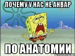 Почему у нас не Анвар По анатомии, Мем Спанч Боб плачет