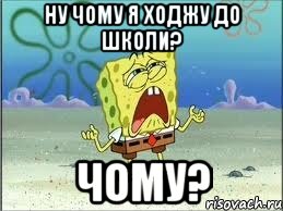 Ну чому я ходжу до школи? Чому?, Мем Спанч Боб плачет