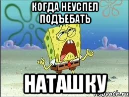 когда неуспел подъебать наташку, Мем Спанч Боб плачет