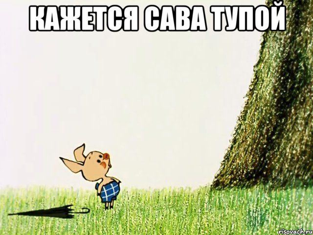 Кажется САВА ТУПОЙ 