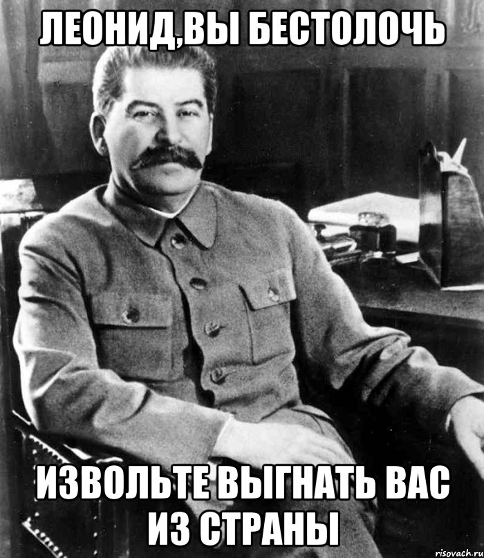 Леонид,вы бестолочь Извольте выгнать вас из страны, Мем  иосиф сталин