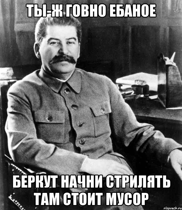 ты-ж говно ебаное БЕРКУТ начни стрилять там стоит мусор, Мем  иосиф сталин