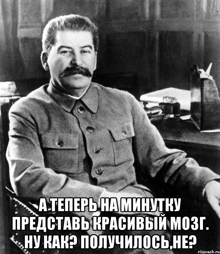  А ТЕПЕРЬ НА МИНУТКУ ПРЕДСТАВЬ КРАСИВЫЙ МОЗГ. НУ КАК? ПОЛУЧИЛОСЬ,НЕ?, Мем  иосиф сталин