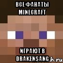 Все фанаты MineCraft играют в drakensang, Мем стив