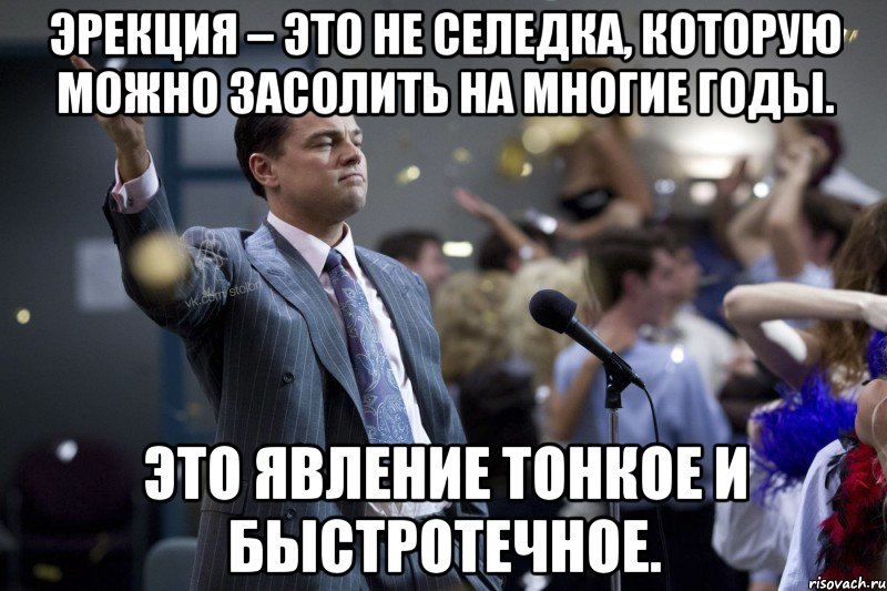 Эрекция – это не селедка, которую можно засолить на многие годы. Это явление тонкое и быстротечное., Мем  Волк с Уолтстрит