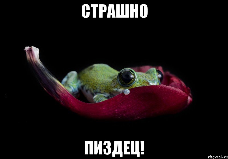 Страшно ПИЗДЕЦ!, Мем страшно пиздец