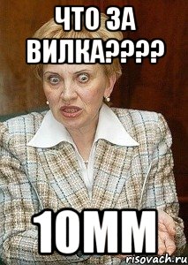 Что за вилка???? 10мм