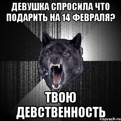 Девушка спросила что подарить на 14 февраля? Твою девственность, Мем Сумасшедший волк