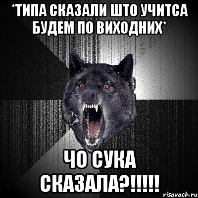 *типа сказали што учитса будем по виходних* чо сука сказала?!!!!!, Мем Сумасшедший волк