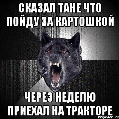 Сказал Тане что пойду за картошкой Через неделю приехал на тракторе, Мем Сумасшедший волк