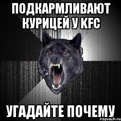 Подкармливают курицей у KFC Угадайте почему, Мем Сумасшедший волк