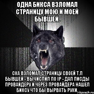 одна бикса взломал страницу мою и моей бывшей. СКА ВЗЛОМАЛ СТРАНИЦУ СВОЕЙ Т.П БЫВШЕЙ - ВЫЧИСЛИЛ ПО IP - ДАЛ ПИСДЫ ПРОВАЙДЕРУ И ЧЕРЕЗ ПРОВАЙДЕРА НАШЕЛ БИКСУ ЧТО БЫ ВЫРВАТЬ РУКИ., Мем Сумасшедший волк