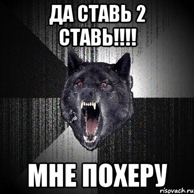 да ставь 2 ставь!!!! мне похеру, Мем Сумасшедший волк