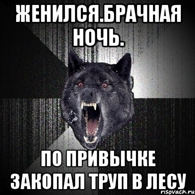 Женился.Брачная ночь. По привычке закопал труп в лесу, Мем Сумасшедший волк