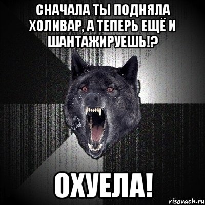 СНАЧАЛА ТЫ ПОДНЯЛА ХОЛИВАР, А ТЕПЕРЬ ЕЩЁ И ШАНТАЖИРУЕШЬ!? ОХУЕЛА!, Мем Сумасшедший волк