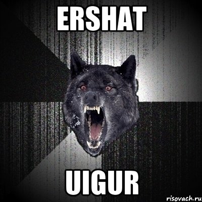 Ershat UIGUR, Мем Сумасшедший волк
