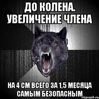 До колена. Увеличение члена на 4 см всего за 1,5 месяца самым безопасным, Мем Сумасшедший волк