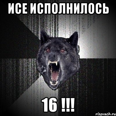 Исе исполнилось 16 !!!, Мем Сумасшедший волк